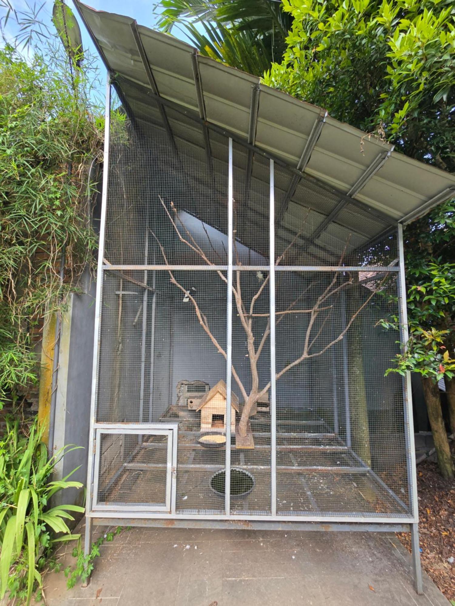 Kusma Hotel Bandungan סמאראנג מראה חיצוני תמונה